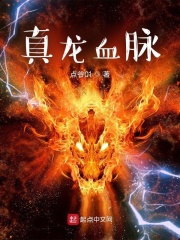 真龙天子电视剧片段